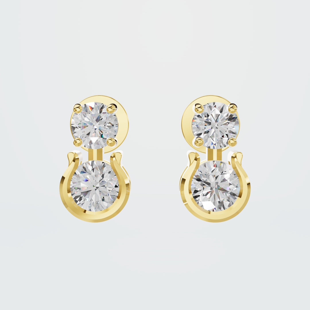 Mixed Drop Shield Earring